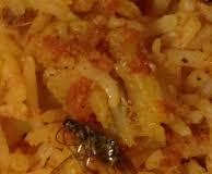 Cockroach Discovered in Biryani at Hyderabad Restaurant in Banjara Hills