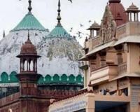 Places of Worship Act: Mathura Masjid files intervention in SC