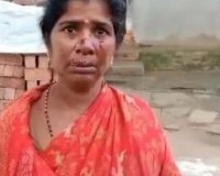 Telangana: Jackal Attacks Woman in Sircilla District, Villagers Kill the Animal