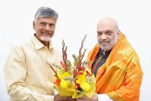 NDA leaders including Amit Shah, Chandrababu Naidu meet at BJP chief’s residence