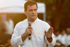 Rahul  urges people to vote for peace, progress of Uttar Pradesh